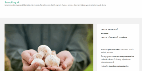 sampiony.sk